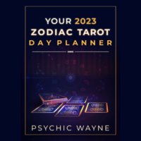 2023 TAROT DAILY PLANNER